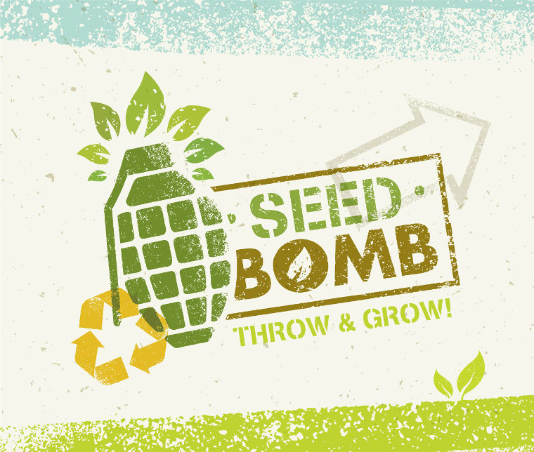 What is a seed bomb.