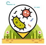 microbial activity illustration