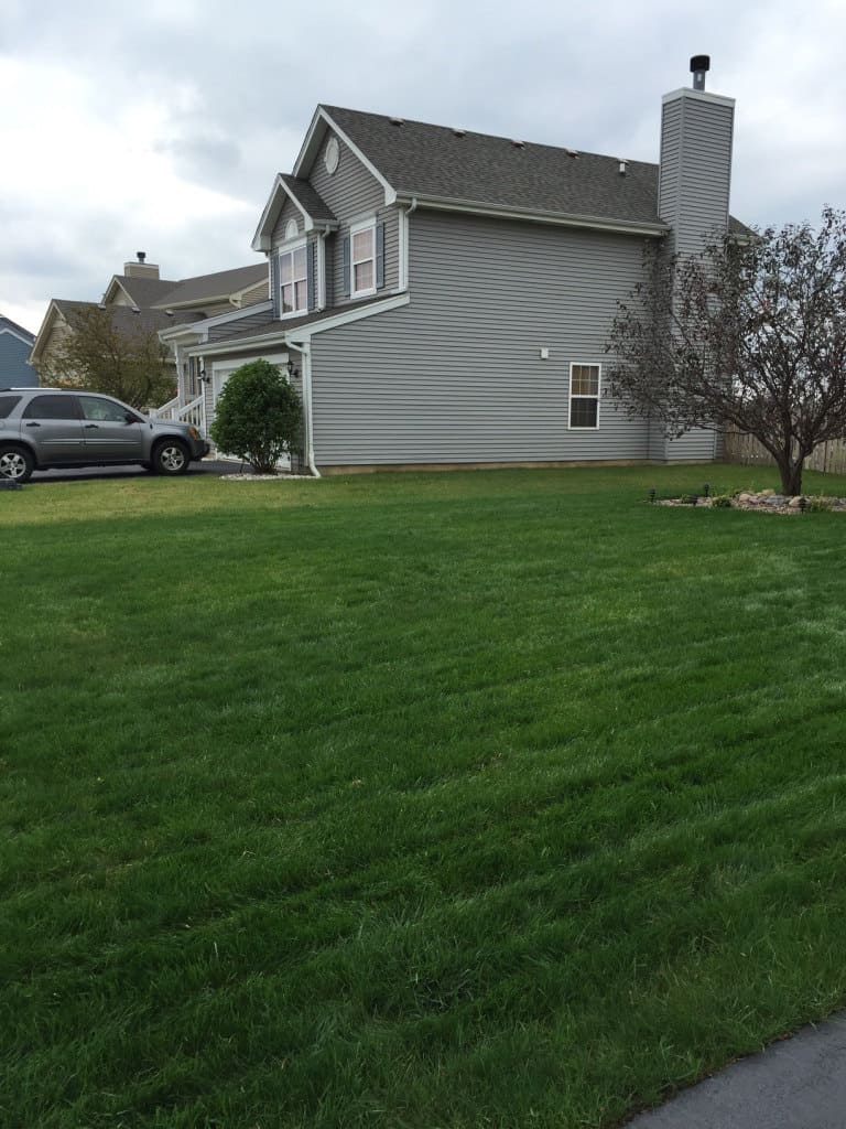After lawn renovation in Minooka, IL