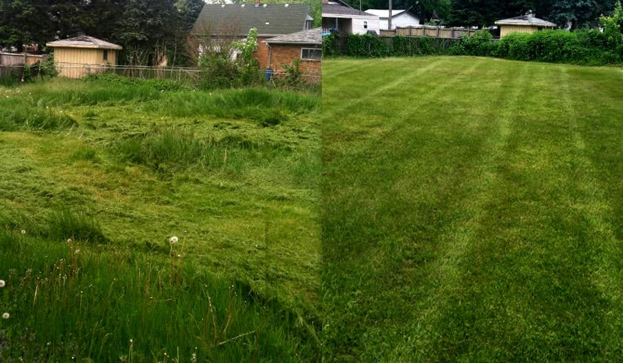 Mowing before and after