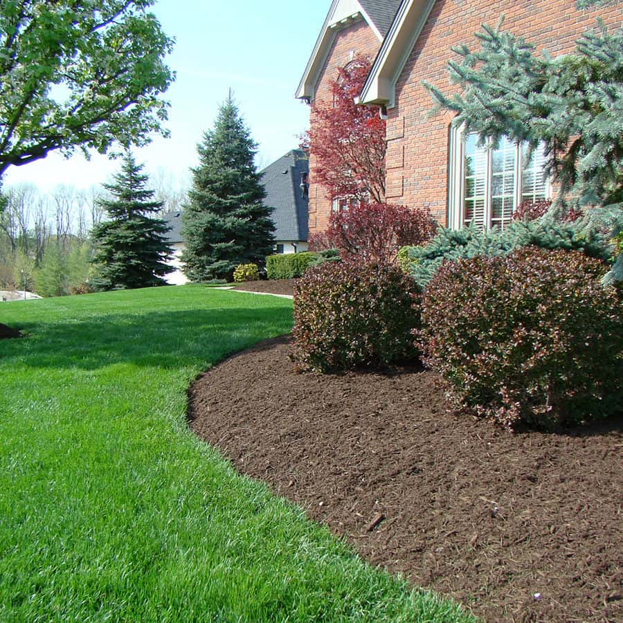 Mulching installation service