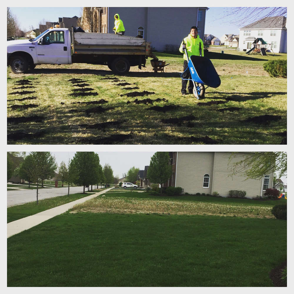 before and after compost spreading