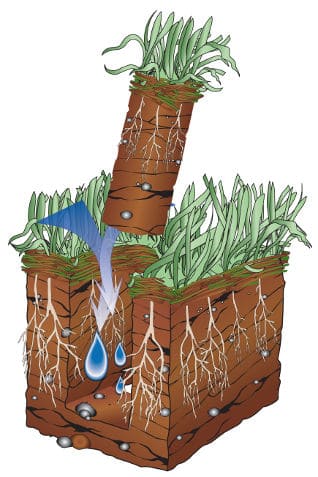 core aeration plug