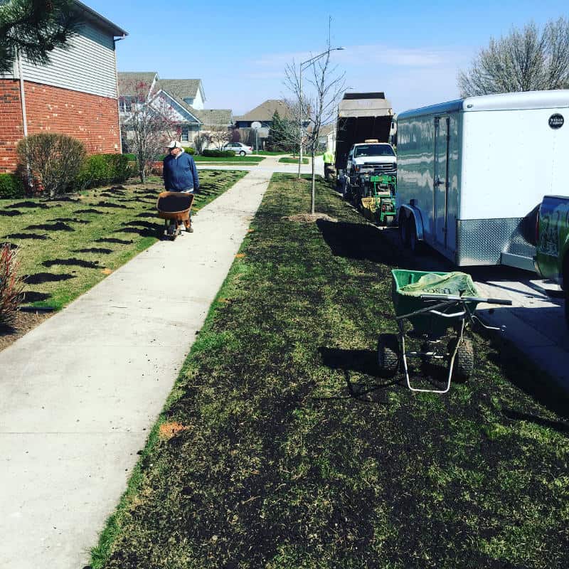 Top dressing