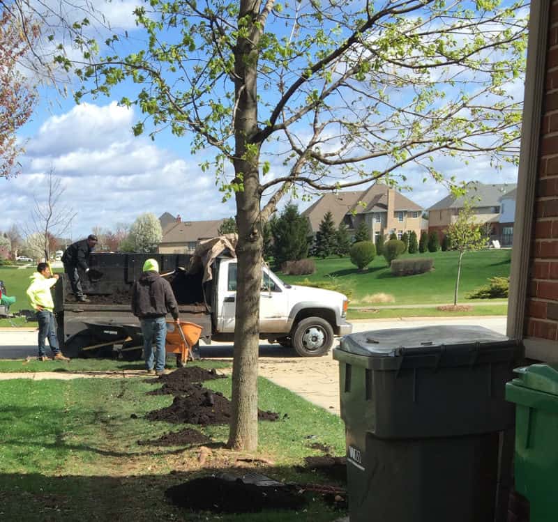 compost top dressing