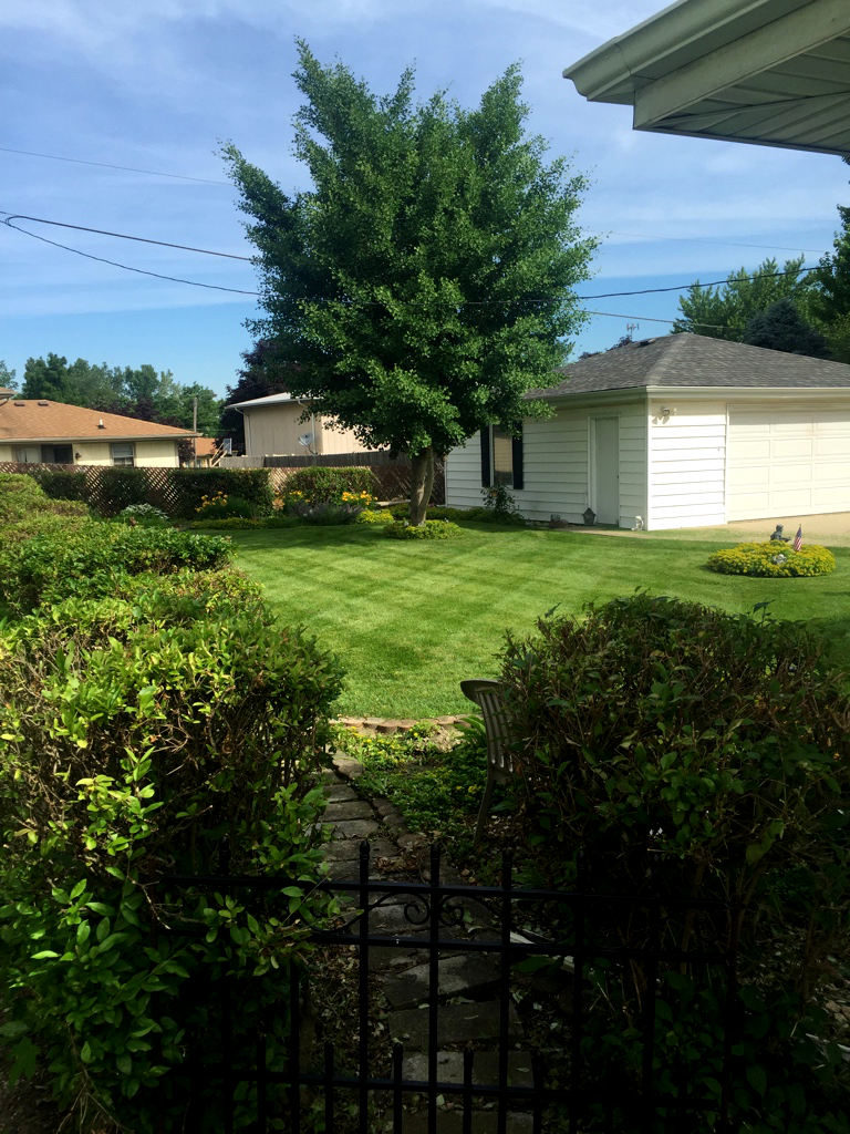weekly mowing