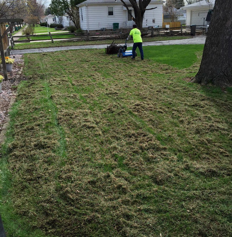 Power raking backyard