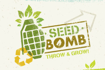 What is a seed bomb.