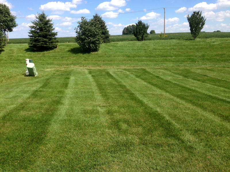 Backyard mowing