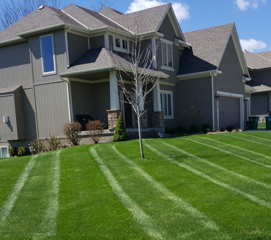 Romeoville lawn care services