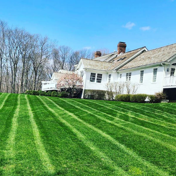 Residential mowing in burr ridge IL