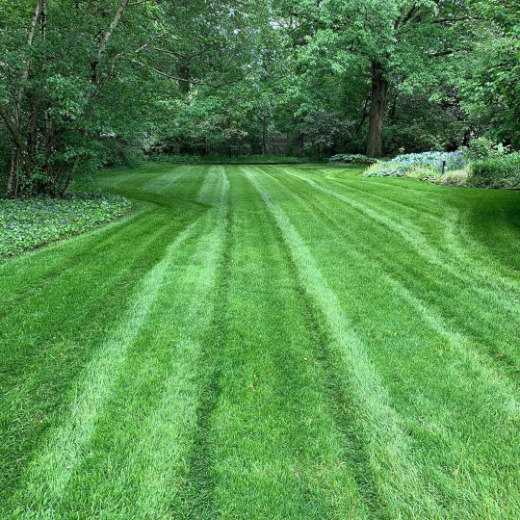 Backyard mowing service